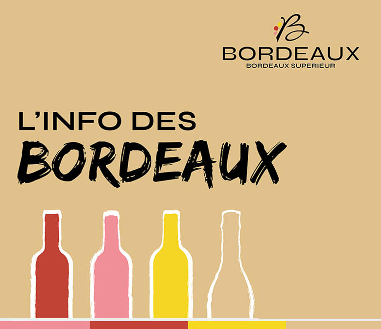 N°7 – 19 février 2026