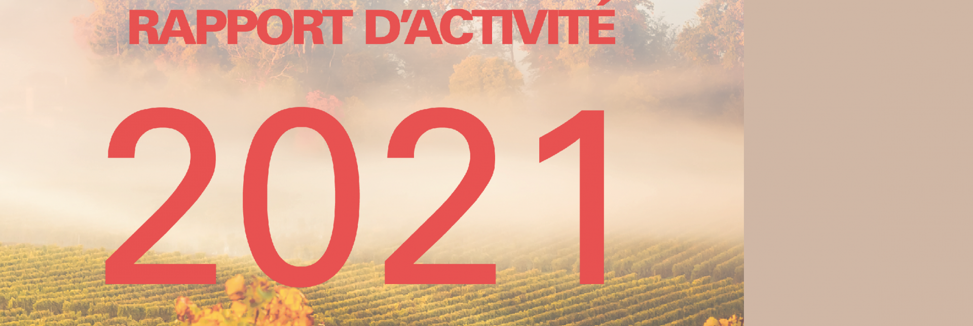 Le rapport d'activité 2021