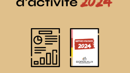 Le Rapport d&rsquo;Activité 2024